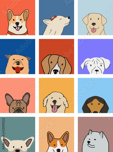 Dog breeds portraits set. Colorful dog graphic, corgi, labrador, golden, beagle,boxer,bulldog,doxie,dachshund,chihuahua,samoyed funny illustration.