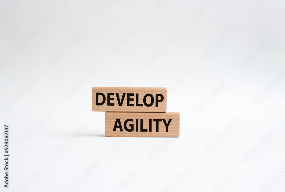 Develop agility symbol. Concept word Develop agility on wooden blocks. Beautiful white background. Business and Develop agility concept. Copy space Develop agility symbol. Concept word Develop agility on wooden blocks. Beautiful white background. Business and Develop agility concept. Copy space