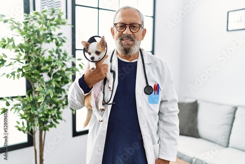 Tableau sur toile Senior grey-haired man wearing veterinarian uniform holding chihuahua with eliza