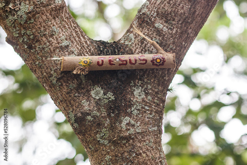sign stuck in a tree written ( Jesus ) from Rio de Janeiro, Brazil. photo