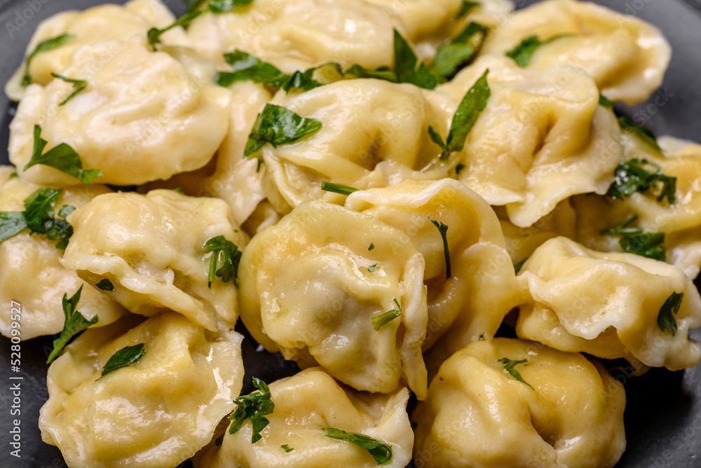Delicious fresh dumplings with turkey meat, with spices and herbs Delicious fresh dumplings with turkey meat, with spices and herbs