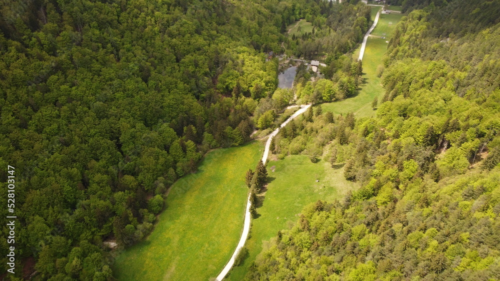 view of green forest with a road and a meadow