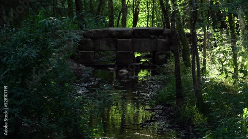 Viejo puente de piedra que cruza un pequeño riachuelo en la profundidad de un bosque en la Sierra Norte de Madrid.