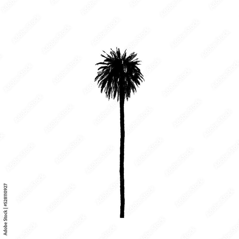 custom made wallpaper toronto digitalPalm tree black silhouette isolated on white background. Tall tree tourism concept illustration.