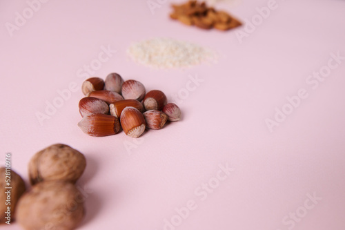 Selective focus on a handful of hazelnuts, isolated over pink background near scattered almonds and walnuts. Healthy food and veganism. Raw vegan organic ingredients for preparing plant based milk