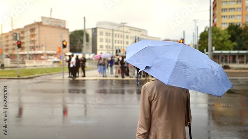  People with umbrellas on a rainy day outside