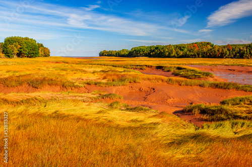 Low Tide, Bay of Fundy