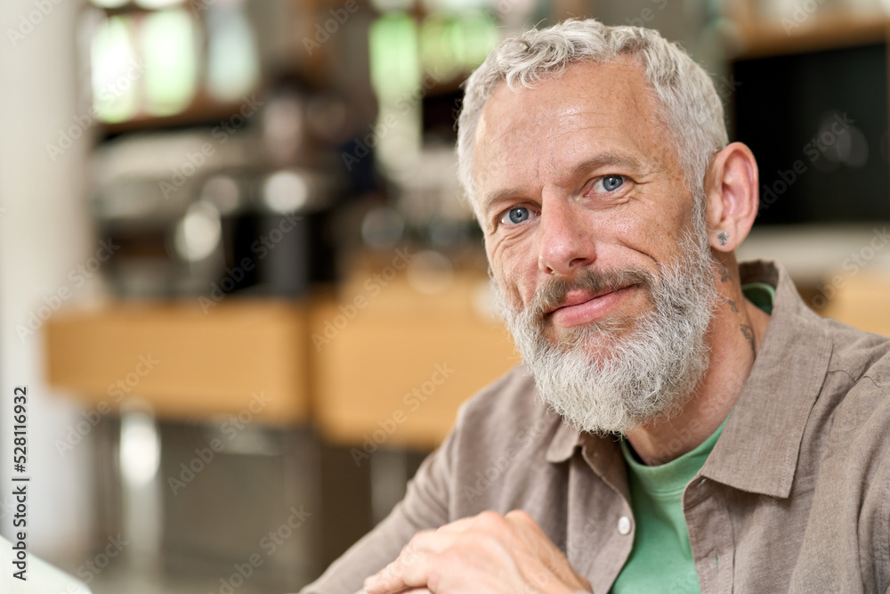 Happy smiling middle aged gray-haired man close up headshot. Older senior  adult bearded male hipster, 50 years old elder mid age european  professional business man looking at camera, indoor portrait. Stock Photo