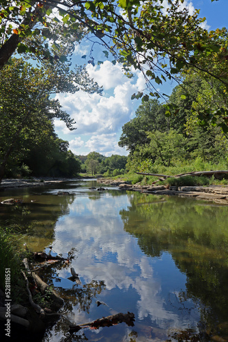 Reflection of clouds and trees in water