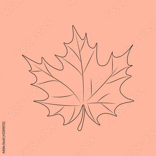 Set of hand drawn leaf outlines. Vector illustration. on the autumn background