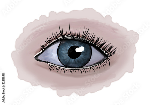Isolated illustration of a realistic blue eye. High quality photo