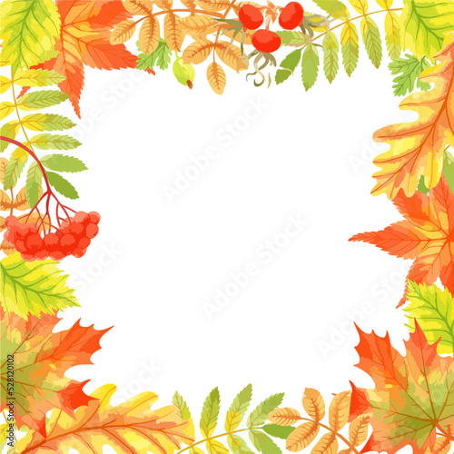 Vector watercolor illustration of square frame with fall leaves and berries. 