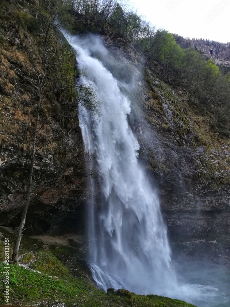 Fototapeta premium waterfall in the forest