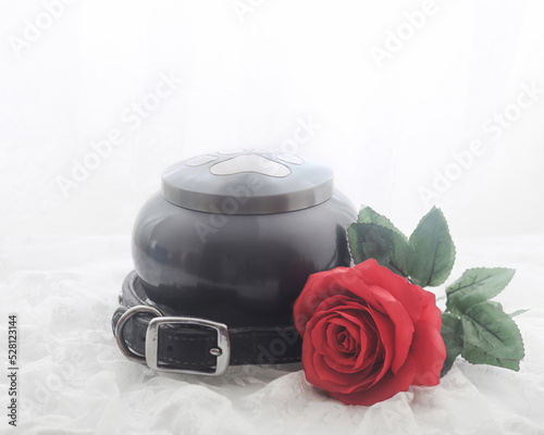 Red rose beside and urn and collar of a beloved pet dog 