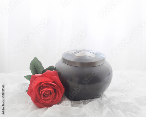 In remembrance of a pet. Red rose beside an urn filled with ashes of a dog isolated on a white background.
