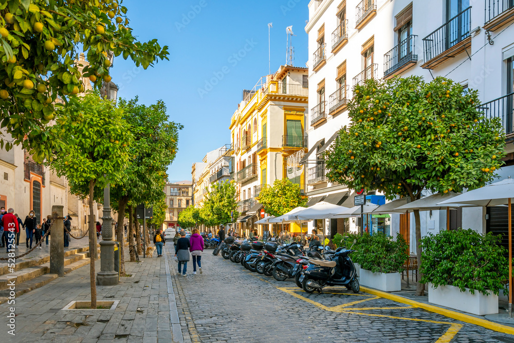 Naklejka premium Shops, sidewalk cafes and orange trees line the busy street alongside the Seville Cathedral in the Barrio Santa Cruz district of the Andalusian city of Seville Spain. 