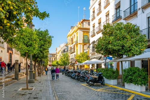 Shops, sidewalk cafes and orange trees line the busy street alongside the Seville Cathedral in the Barrio Santa Cruz district of the Andalusian city of Seville Spain. 