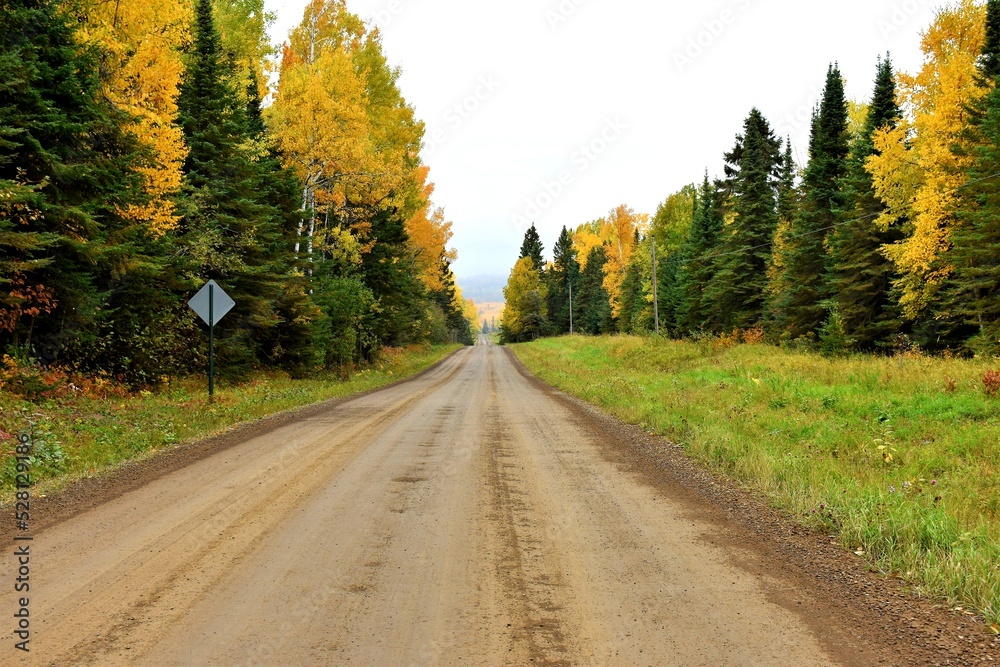 Fototapeta premium Country road in autumn