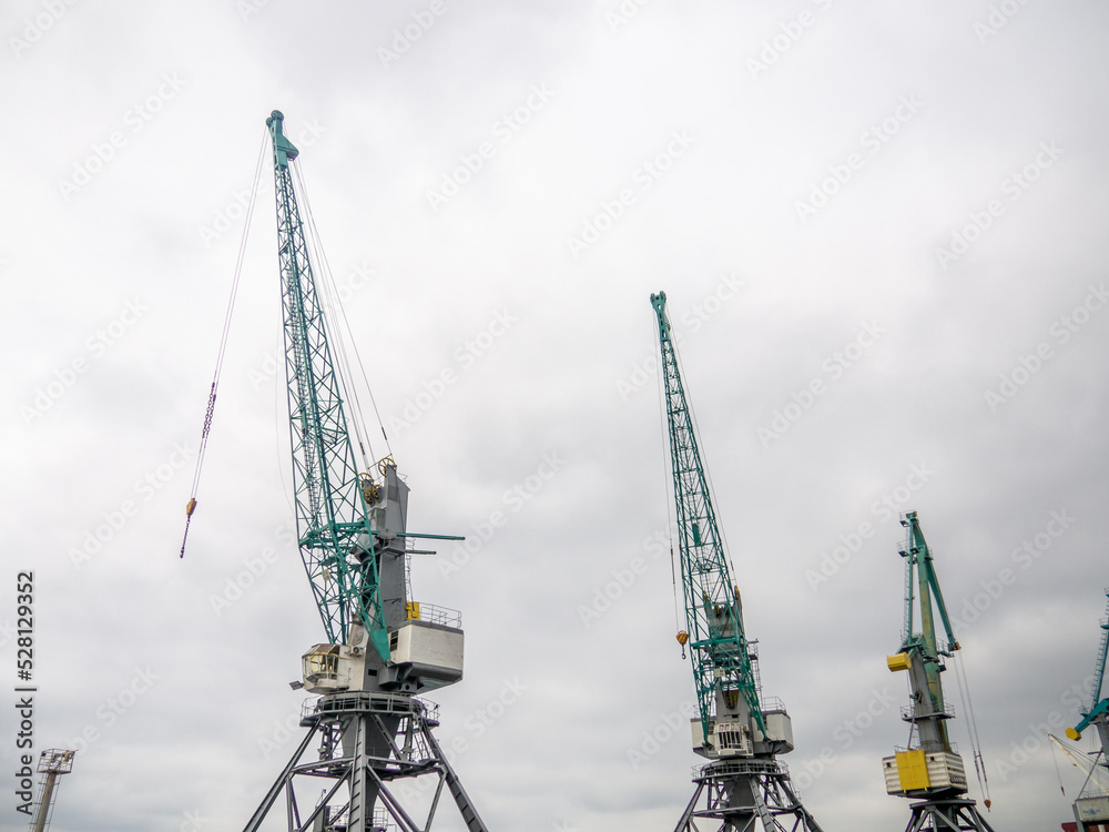 Sea port cranes. Loading work. Technology in the port.