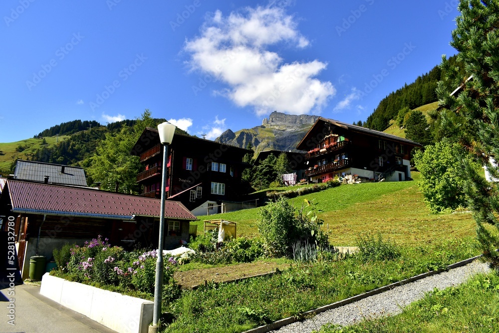 house in the mountains house in the mountains