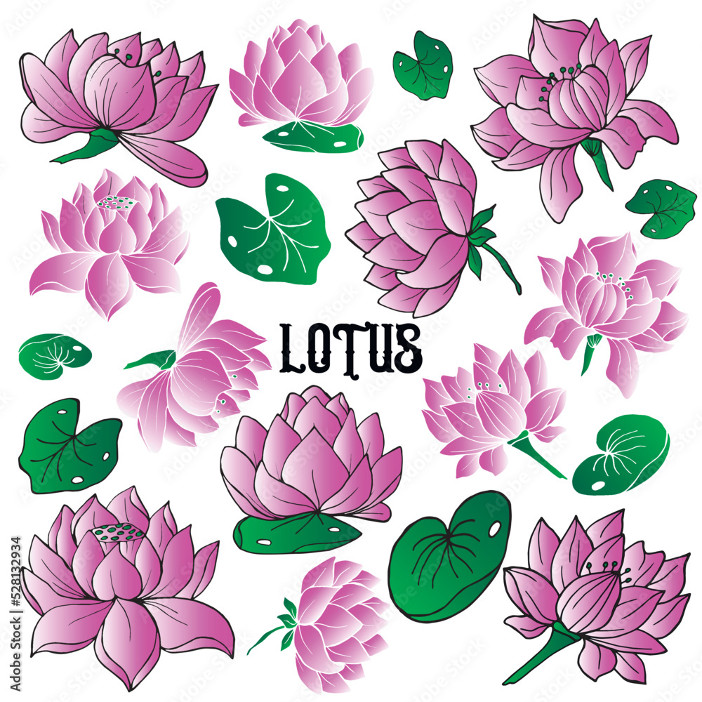 Lotus colorful flowers isolated set. Hand drawn vector line art illustration for wedding invitations, stickers, greeting cards.