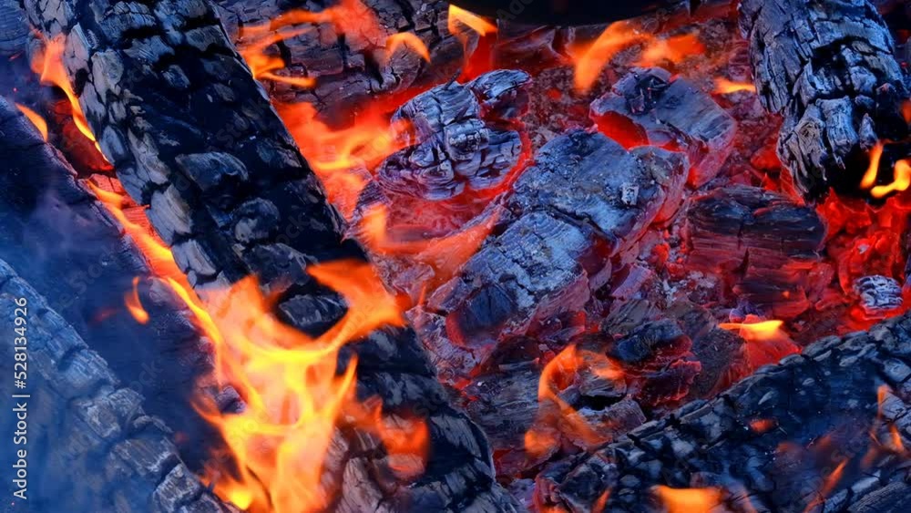 Bonfire .Burnt firewood and flame texture. Tongues of flame, sparks close-up.Firewood burning in bonfire.Burnt out campfire background. 4k footage Bonfire .Burnt firewood and flame texture. Tongues of flame, sparks close-up.Firewood burning in bonfire.Burnt out campfire background. 4k footage