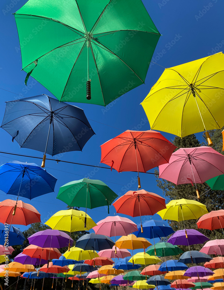 Colorful sunlit umbrellas at Lavender Festival, Cherry Valley, CA