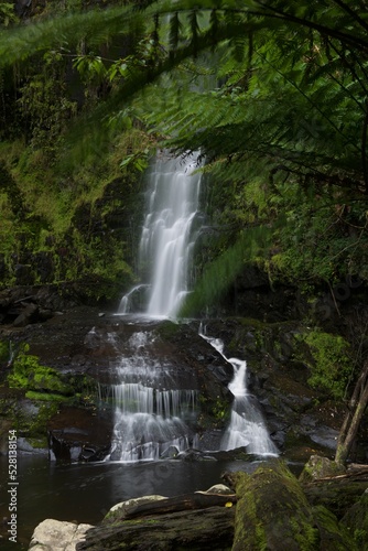 Waterfall in the forest