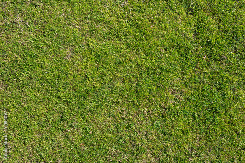 Green grass garden mat