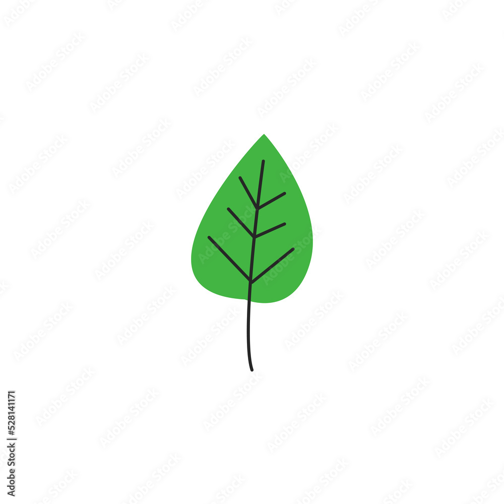Green fresh autumn leaf with veins isolated on white background. Fall birch foliage season. Decorative deciduous item. Simple single birch leaf silhouette. Hand drawn flat vector illustration Green fresh autumn leaf with veins isolated on white background. Fall birch foliage season. Decorative deciduous item. Simple single birch leaf silhouette. Hand drawn flat vector illustration