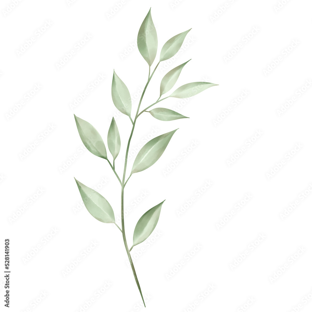 green leaves isolated on white background watercolor leaves and branches lovely design elements.