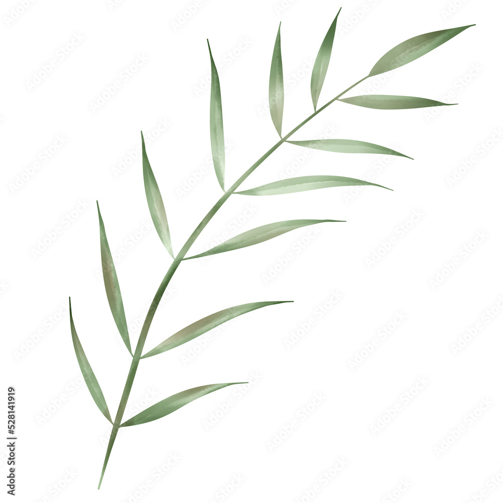 Fototapeta premium bamboo leaves isolated on white watercolor leaves and branches lovely design elements.
