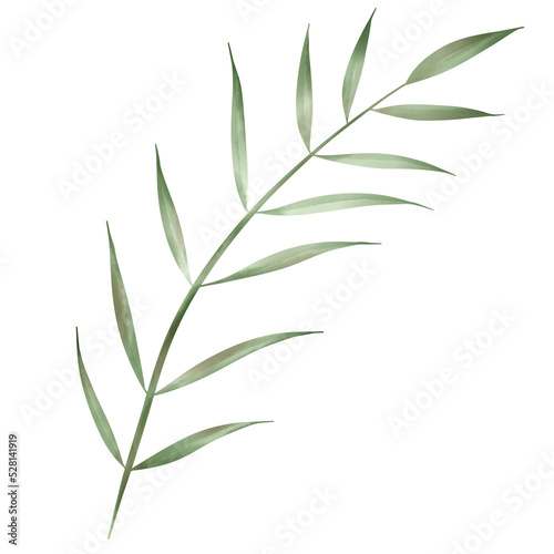 bamboo leaves isolated on white watercolor leaves and branches lovely design elements.