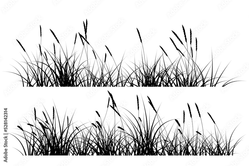 reeds grass silhouette - obrazy, fototapety, plakaty 