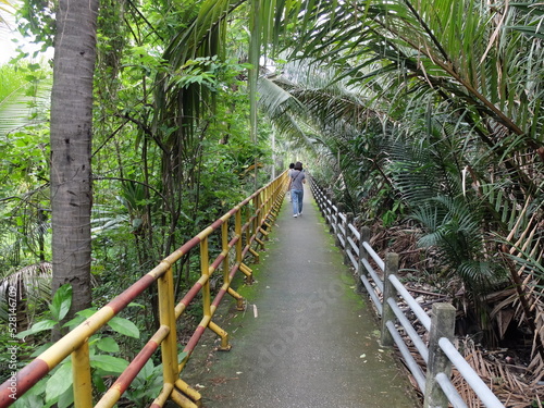wooden bridge in the woods at Bang Kachao, Thailand.