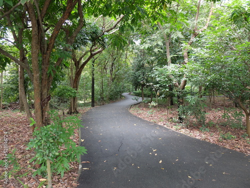 alley in the park of Sri Nakhon Park, Bang Kachao, Thailand.