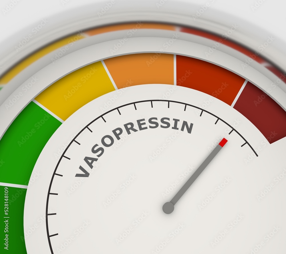 Abstract meter with scale reading low level of vasopressin or argipressin. 3D render Abstract meter with scale reading low level of vasopressin or argipressin. 3D render