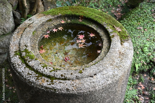秋の京都 永観堂禅林寺の紅葉