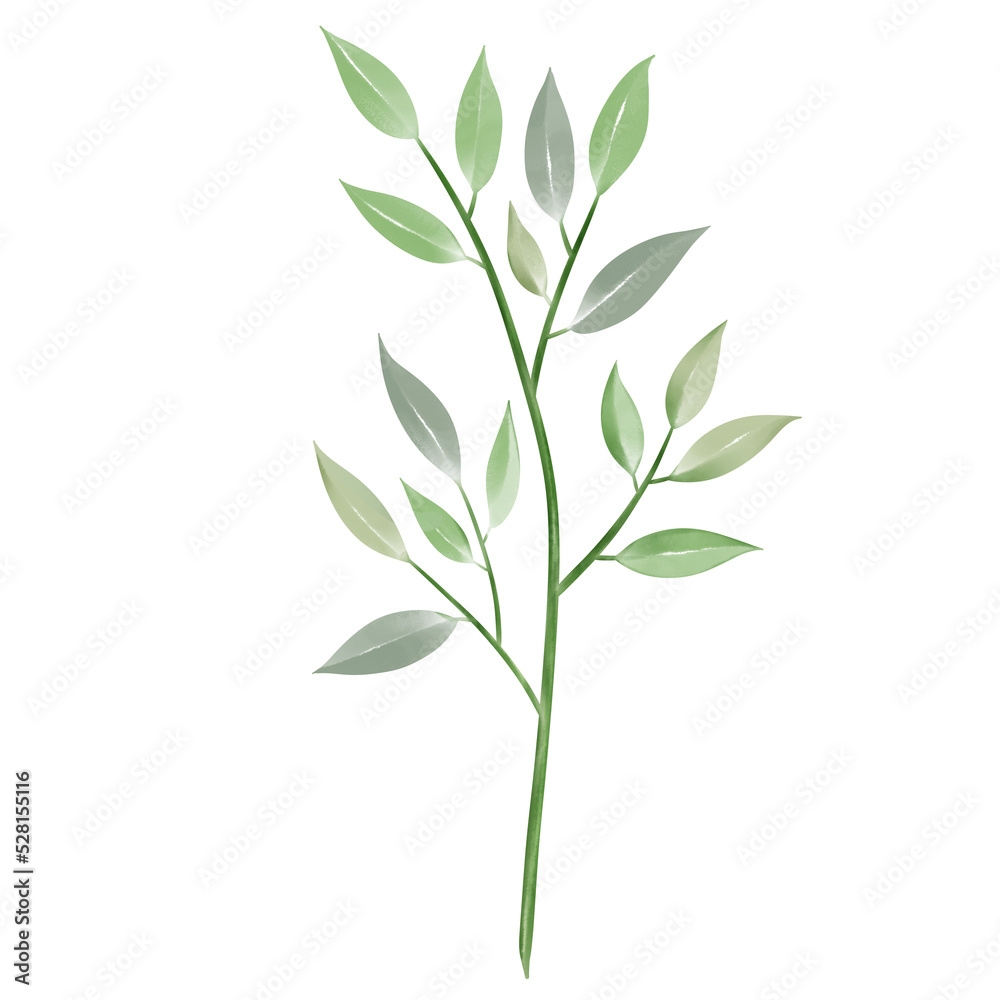 Fototapeta premium green leaves isolated on white Beautiful watercolor tropical leaves painted on white paper.