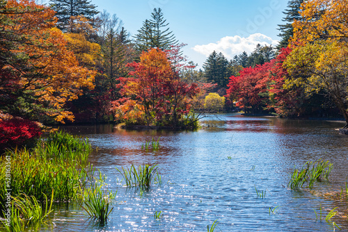 Kumobaike Pond autumn foliage scenery view, multicolor reflecting on surface in sunny day. Colorful trees with red, orange, yellow, golden colors around the park in Karuizawa, Nagano Prefecture, Japan photo