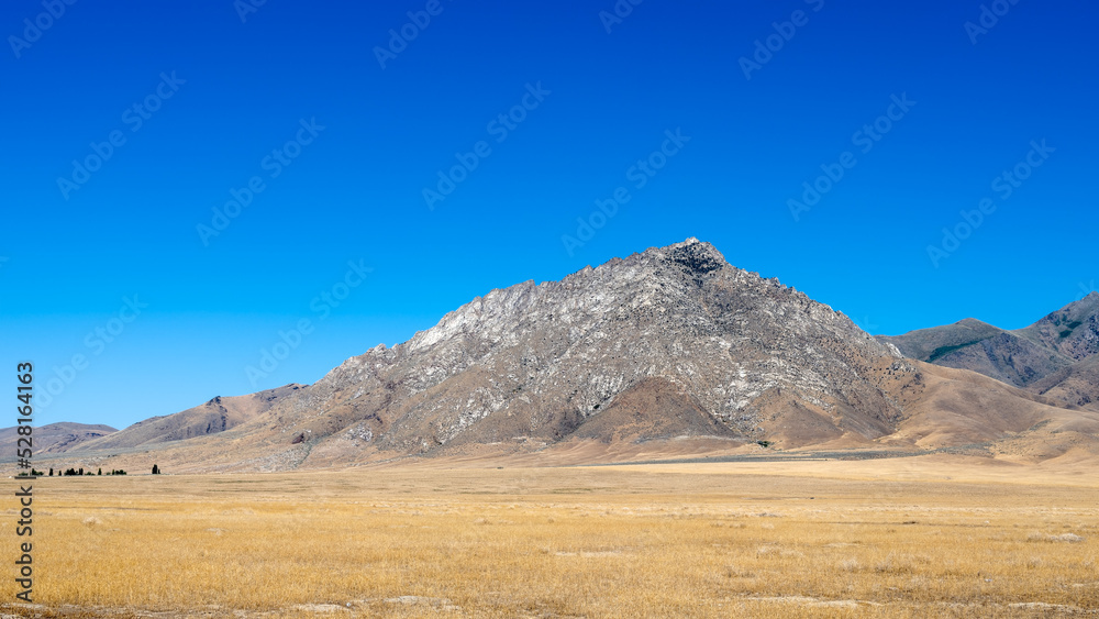 Arid dry Landscape with a barren Rocky Mountain surrounded with cheatgrass in the Nevada desert.