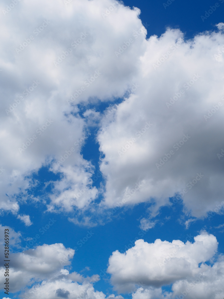 Obraz premium 9月に入るがまだ夏の雲が残る。真っ青な空に存在感のある雲