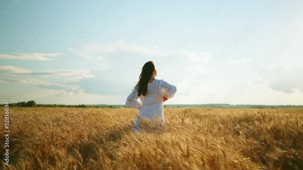 tender woman is walking on golden wheat fields, rising hands up and playing with dark loose hair tender woman is walking on golden wheat fields, rising hands up and playing with dark loose hair