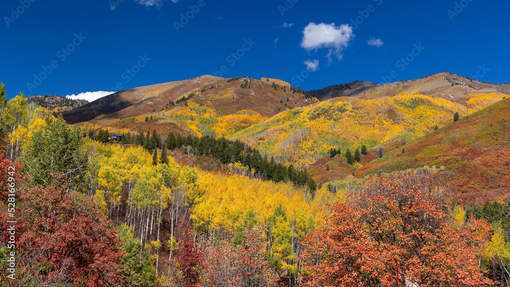 Fall foliage on mountain top at Wasatch mountain state park in Utah.