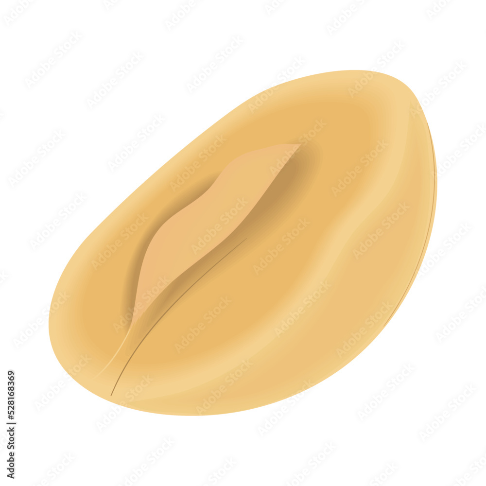 Fototapeta premium macadamia nut icon