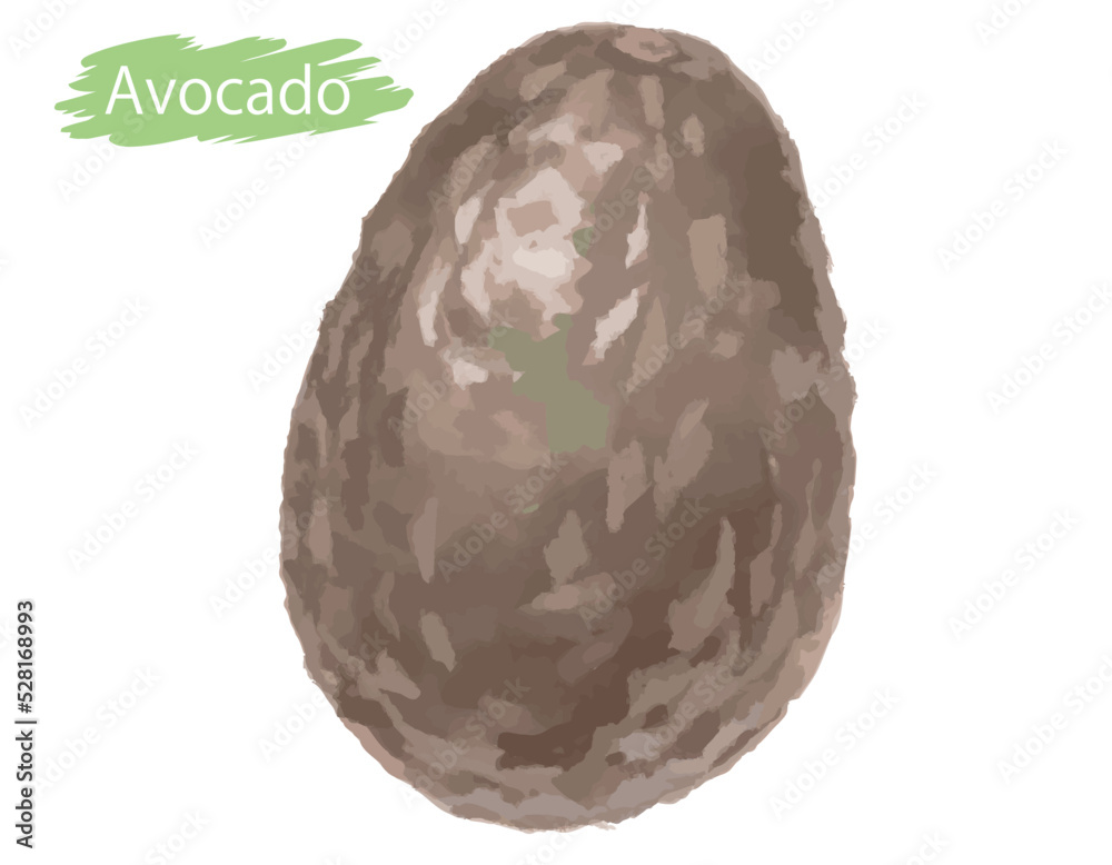 Obraz premium 水彩風の野菜、アボカド。ベクターイラスト素材