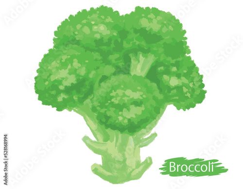 水彩風の野菜、ブロッコリー。ベクターイラスト素材
