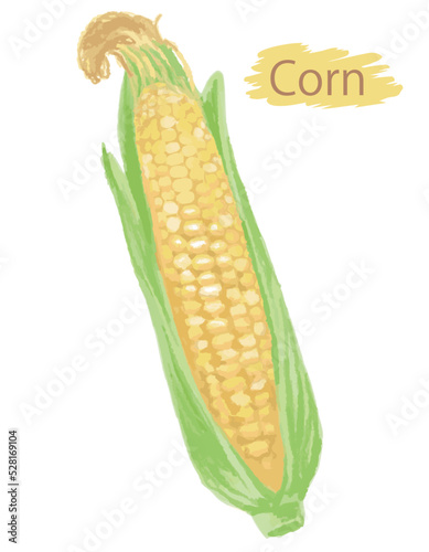 水彩風の野菜、とうもろこし。ベクターイラスト素材