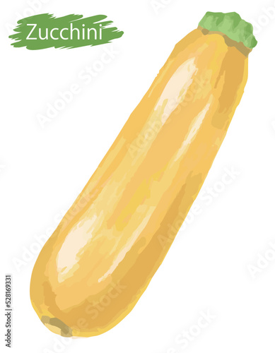 水彩風の野菜、ズッキーニ。ベクターイラスト素材