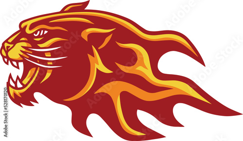 Panther Jaguar Tiger Burning Flame Head Logo Mascot Design